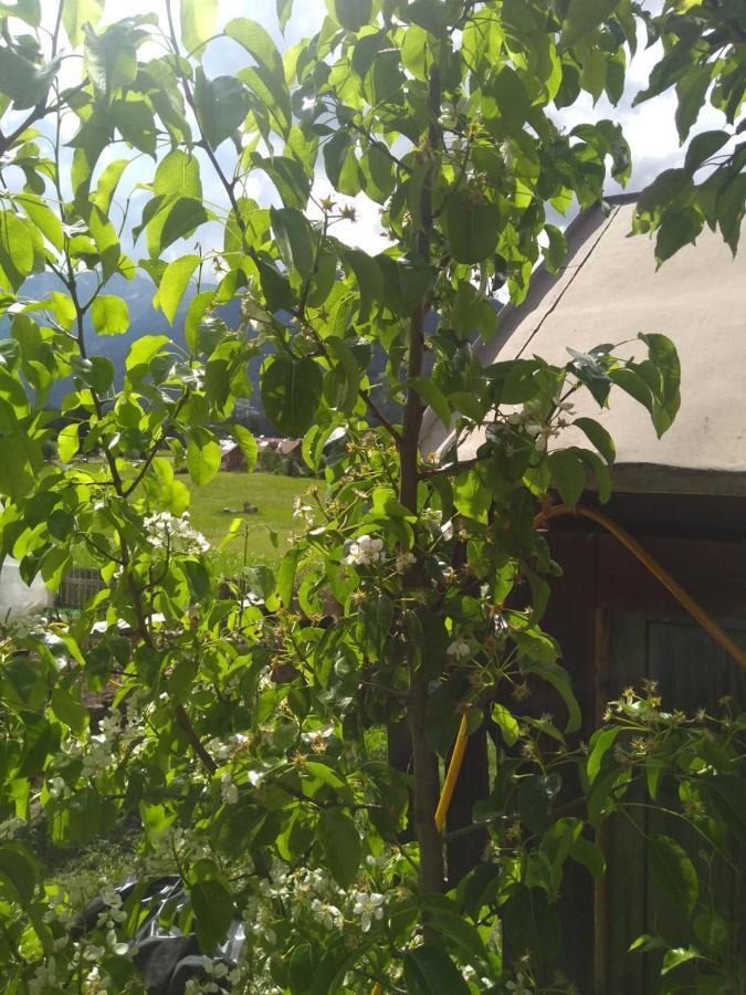كنازاي Cianbolpin Guesthouse المظهر الخارجي الصورة